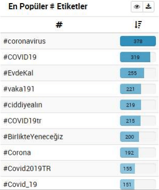 yeni koronavirüs dijital algı araştırması raporu 3 image 2
