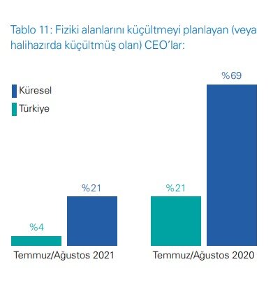 2021 küresel ceo araştırması - 3