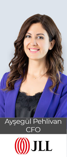 aysegulpehlivan