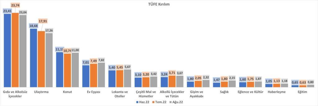 ağustos 2022 enflasyon