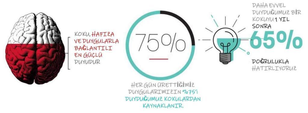 etkili bir pazarlama stratejisi: duyusal pazarlama "koku"