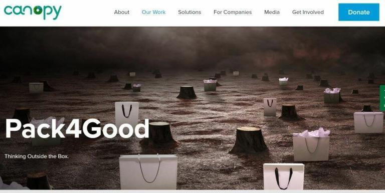 Zara’nın Ana Şirketi Inditex, Yaşamsal Ormanları Korumayı Amaçlayan Ambalaj Girişimi’ne Katıldı