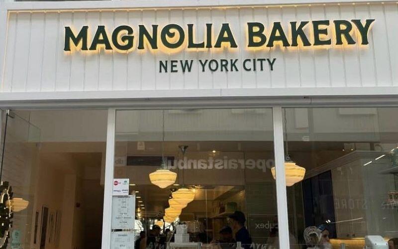 magnolia magaza