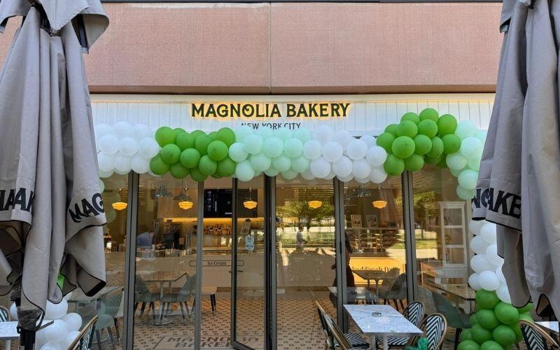 magnolia magaza y