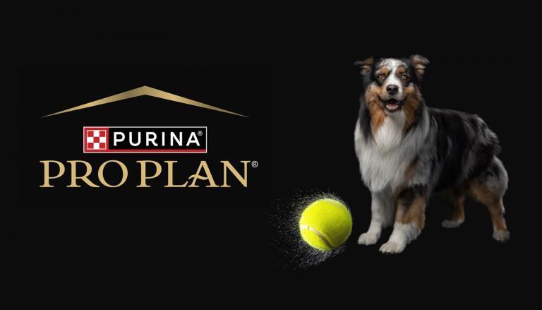 Pro Plan, ATP Turu’nun Resmi Evcil Hayvan Beslenme Ortağı