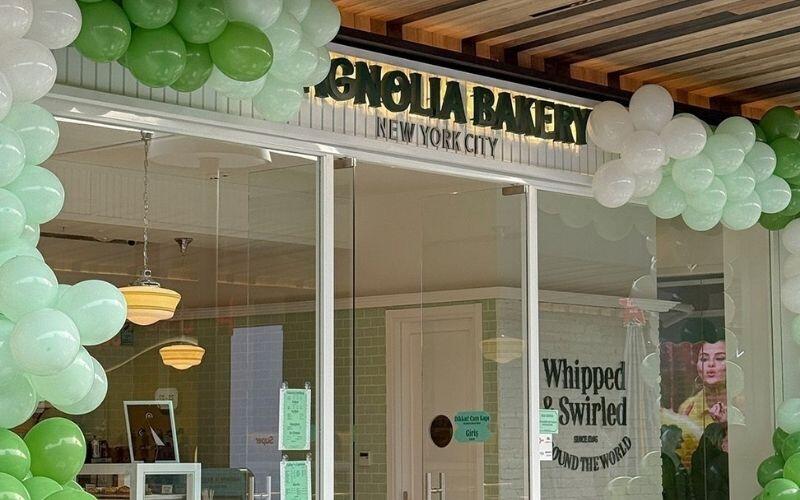 magnolia magaza