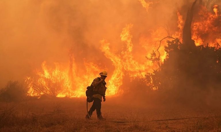 Gıda Tedarik Zinciri Yaklaşan El Niño için “Yeterince Hazırlıklı Değil”