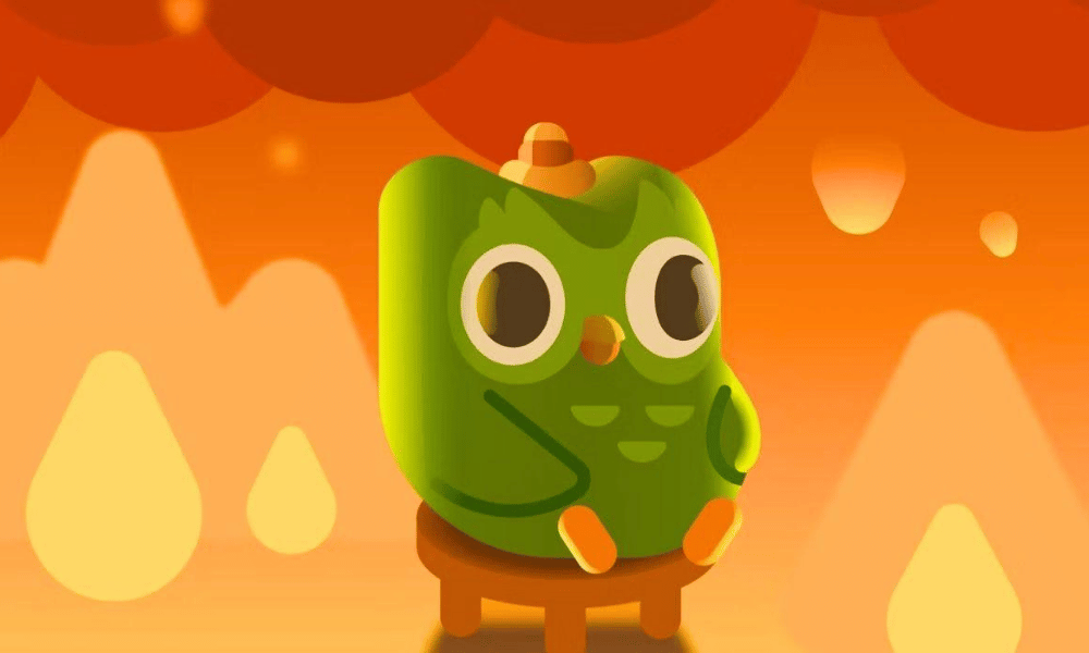 duolingo dan krizi firsata ceviren isbirligi